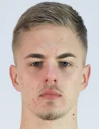 Haris Ibrisagic