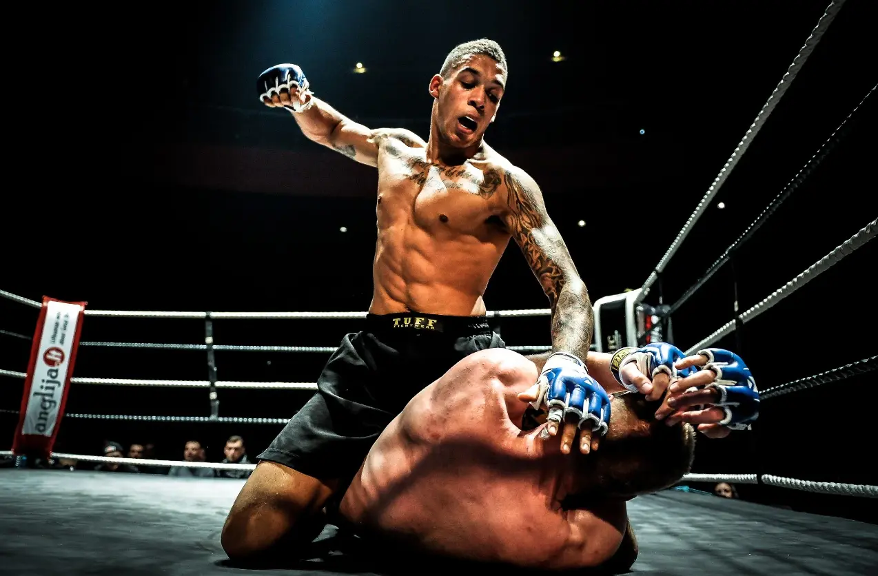 Apostas MMA em Portugal