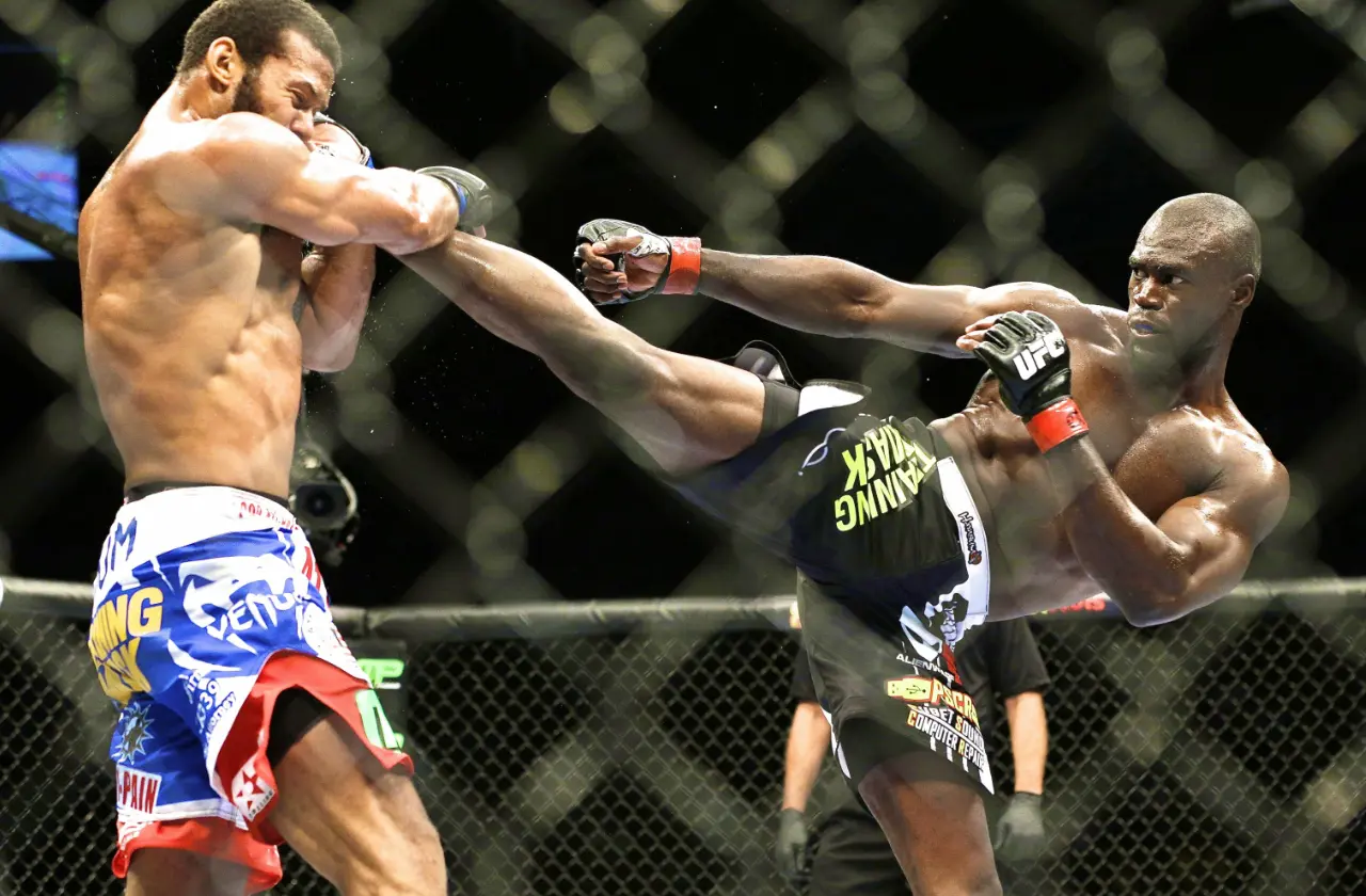 Artes marciais mistas
